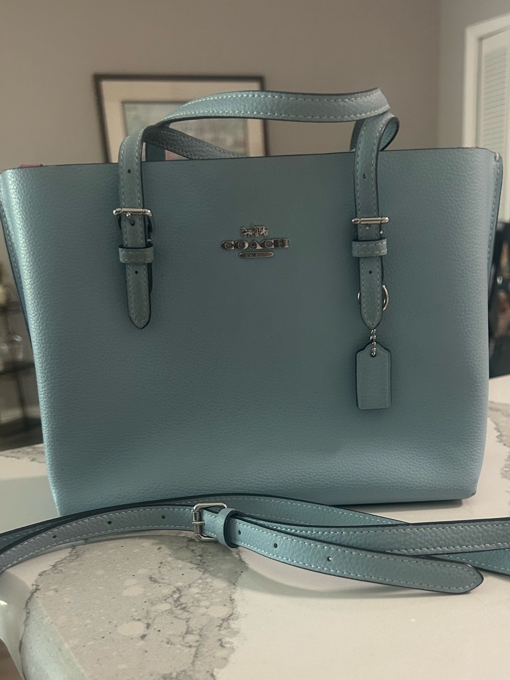 EUC Coach Pebbled Leather Mollie Tote  Bag 25 Sky Blue Silver HW Pink Interior